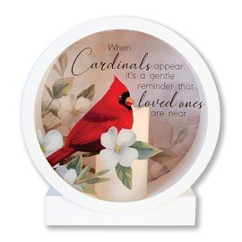 Carson Memorial Lantern Shadow Box with Flameless LED Candle Sympathy Gift for Funeral for Loss of Loved One Remembrance Lantern for Home Decor (Cardinals Appear)