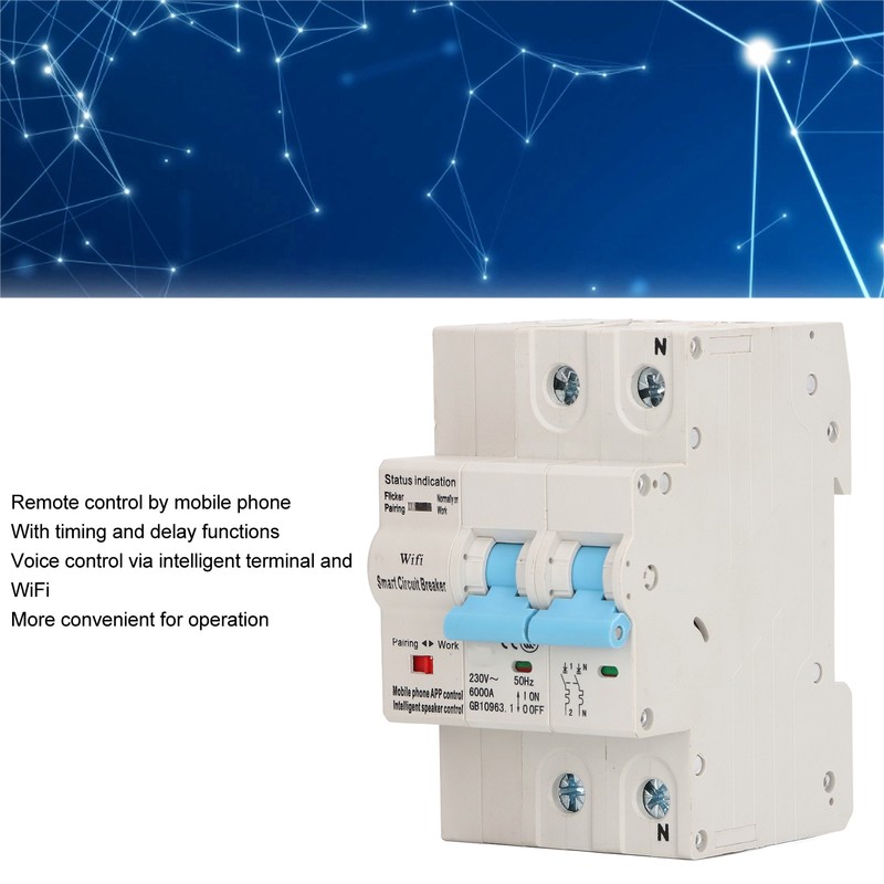 Wifi Circuit Breaker 2P DIN Rail Mount Remote Control Smart