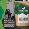 Creatine Monohydrate Powder 300g | Micronised | 85 Servings