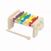 Create And Learn Xylophone