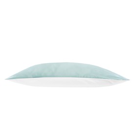 Jasmine Silk 100% Pure Mulberry Silk 19 Momme Charmeuse Silk Pillowcase With Cotton underside for Hair and Skin 1pc 50 x 75 cm Hypoallergenic Envelope Closure (Duck egg)