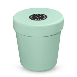 The Ice Cream Canteen Vacuum Insulated Double Wall Stainless Steel Thermos Container for the pint of ice cream enjoy ice cream anywhere (Mint Green)