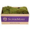SuperMoss (21588) Sheet Moss Preserved, Natural, 5 Pounds (20-24 sq.