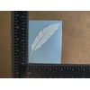 Feather Decal 4 Pack: Birds Flying from Feathers, Feathers Turning