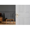 Designer Levers - Victorian Scroll Lever Door Handles - Polished
