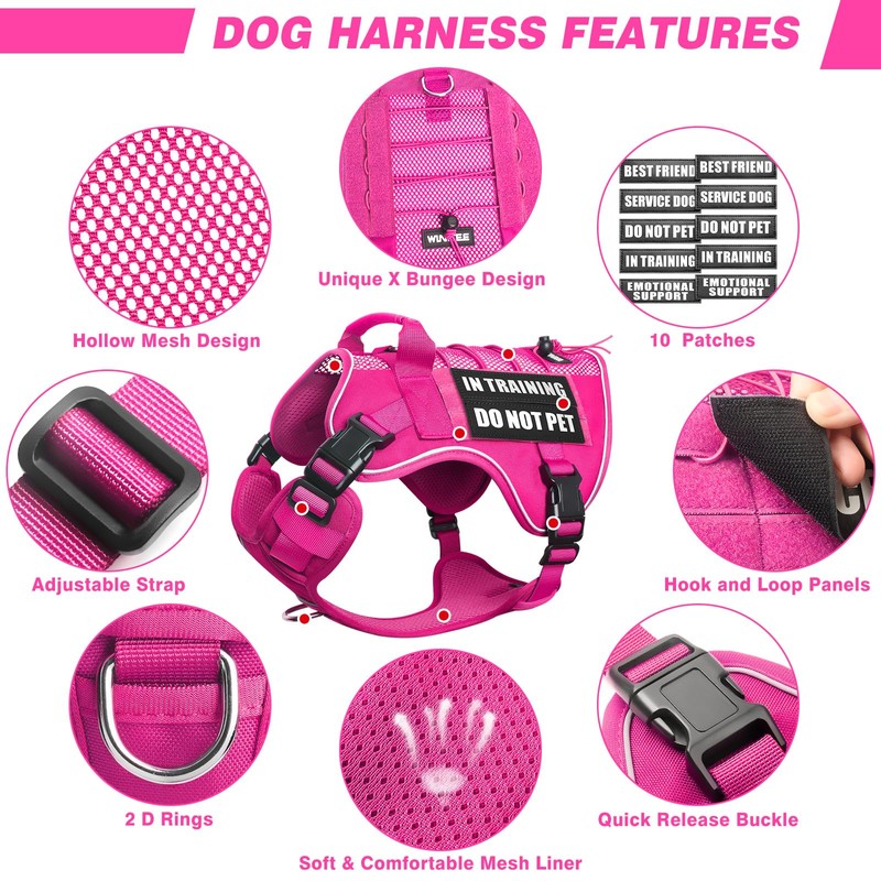 WINSEE Service Dog in Training Mesh Harness with 10 Pet