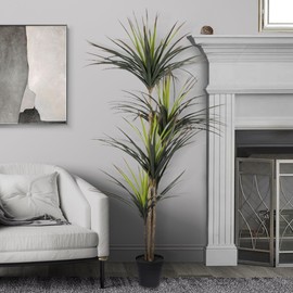 Seasonal LLC Artificial Potted Dracaena Marginata Tree 67in