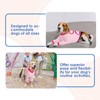 MORVIGIVE Dog Recovery Sleeves for Front Legs,Dog Sleeves to Prevent