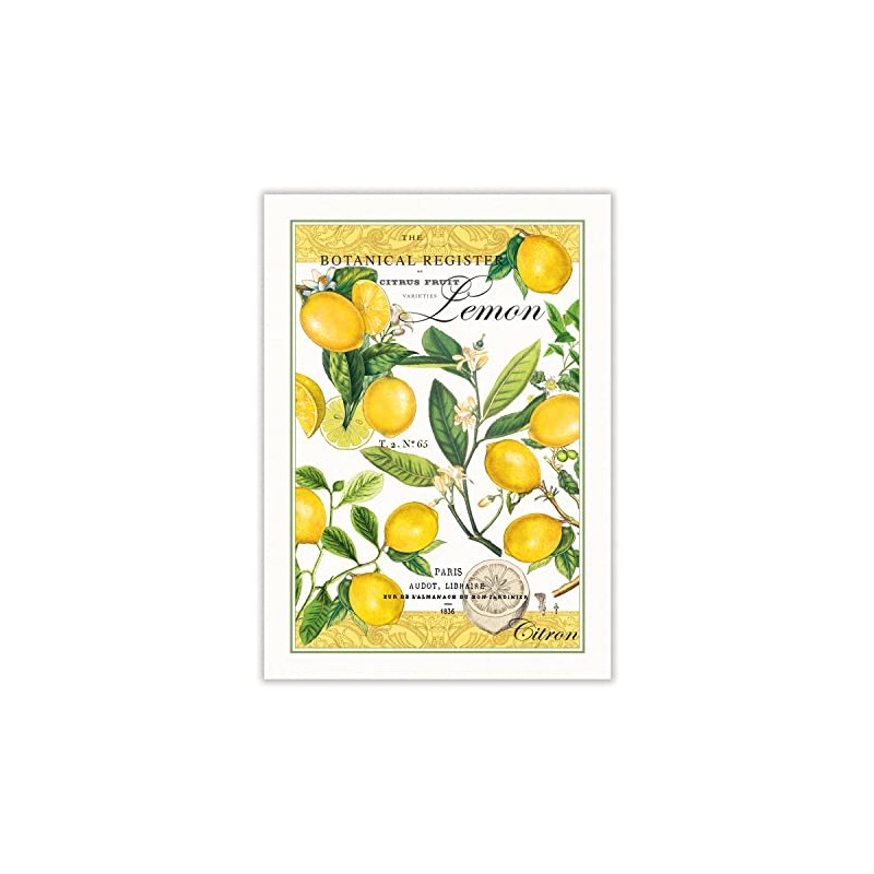 Michel Design Works Lemon Kitchen Towel, Natural Woven Cotton