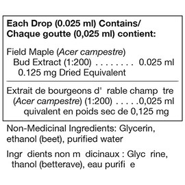 UNDA Gemmo Therapy - Acer Campestre - Field Maple Bud Extract - 125 ml Liquid