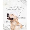 Animal Organic Pet Treatment, Dog and Cat Rinse Display, Human