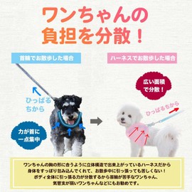 DICOCO Dog Harness, Summer, Nighttime Anti-Light, Small Dogs, Breathable, Cute, Medium Dogs, Pull Prevention, Chihuahua, Walking, Adjustable, Stylish, Popular Torso, Blue B, L