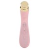Facial Beauty Massager Hot Compress Vibration EMS Microcurrent Skin Tightening