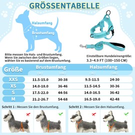 Eyein Dog Harness with Lead for Small, Medium Dogs, No-Pull Adjustable Chest Harness with 2 Lead Clips, Reflective & Lightweight Harness with Soft Padded (Teal, XS)