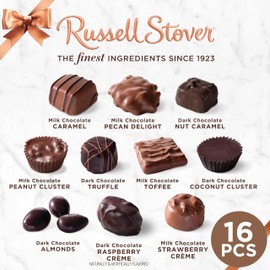 Russell Stover, Assorted Milk and Dark Chocolates, Chocolate Gift Box, 9.4 Ounce (17 Pieces)
