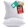 Utopia Bedding Throw Pillows Insert (Pack of 2, White) -