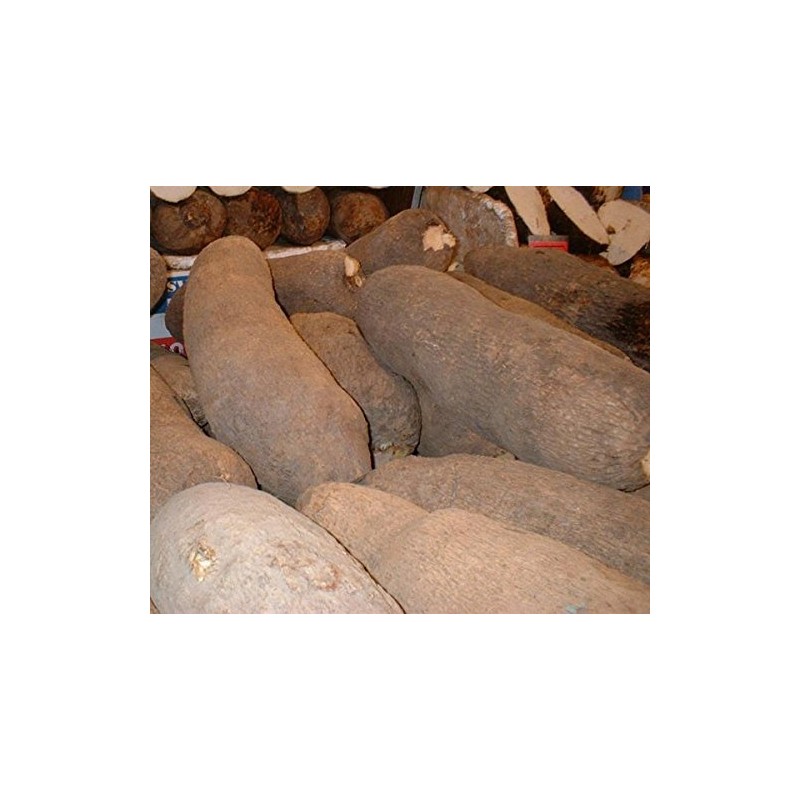 African Tuber of Yam (1 Tuber)