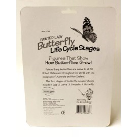 Insect Lore Painted Lady Butterfly Life Cycle Stages Figures