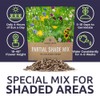 Wildflower Seeds Partial Shade Mix - 1 Ounce Over 7,000