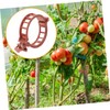 BESPORTBLE 100pcs Plastic Plant Clip Tomato Stakes and Supports for