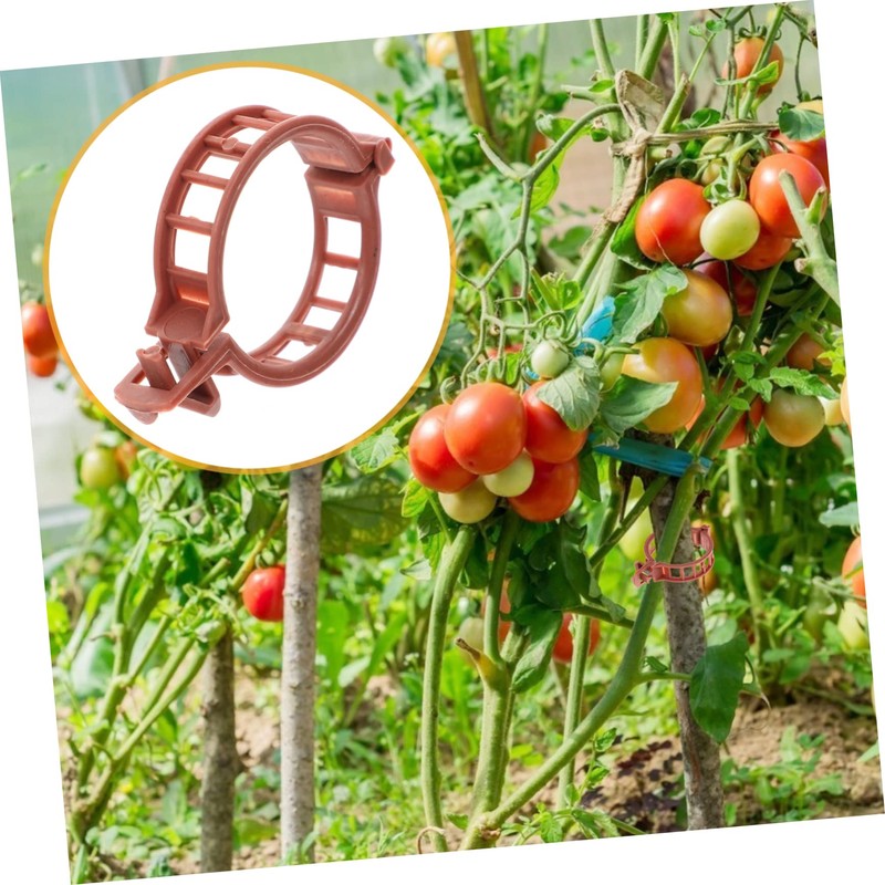 BESPORTBLE 100pcs Plastic Plant Clip Tomato Stakes and Supports for
