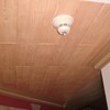 DIY Glue Up P02- Foam Ceiling Tiles Panel/Planks Pine Wood,