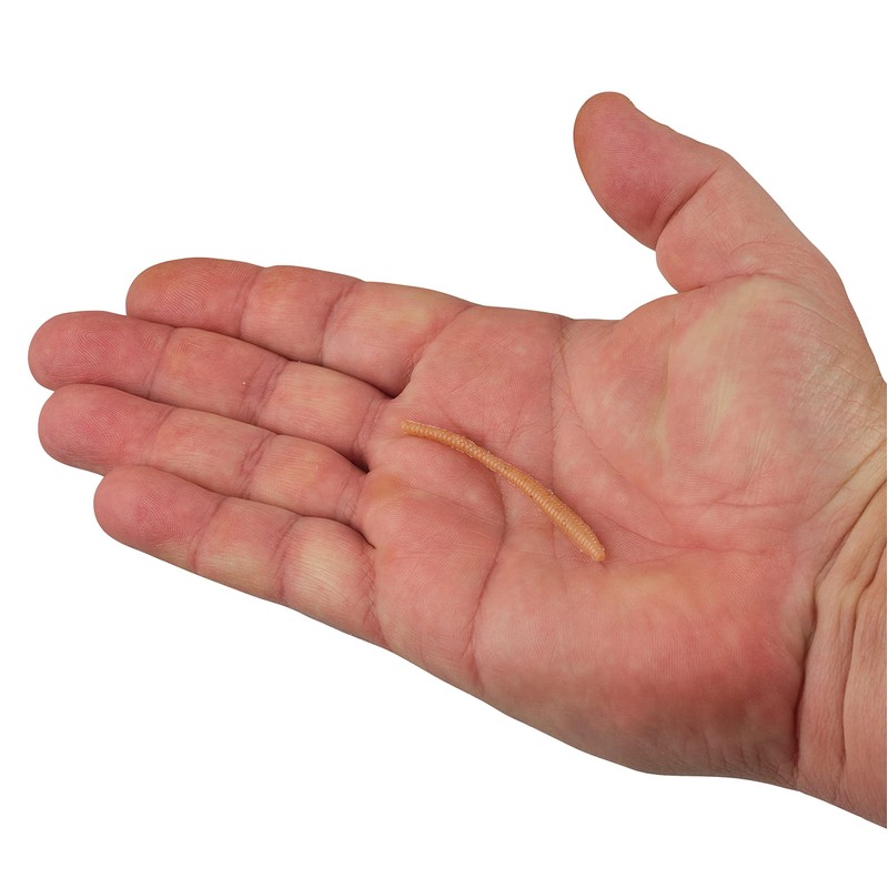 Berkley PowerBait Power Floating Trout Worm Fishing Bait, Natural, 3in