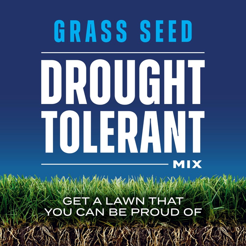 Scotts Grass Seed Drought Tolerant Mix, Kentucky Bluegrass and Tall