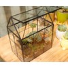 ELEGANTLIFE Glass Geometric Plant Terrarium,Succulent & Air Planter for Home