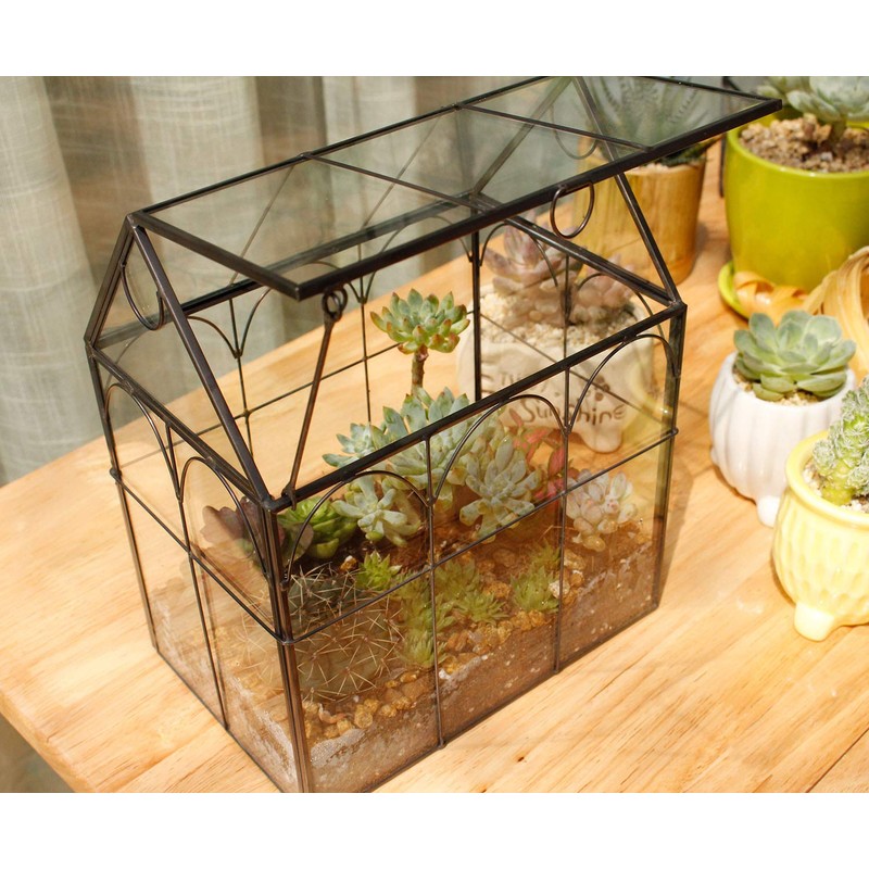 ELEGANTLIFE Glass Geometric Plant Terrarium,Succulent & Air Planter for Home