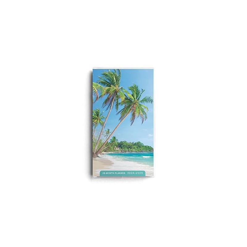 DaySpring - Beaches - 2024 – 2025 Palm Tree Planner