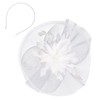 YJZQ Fascinator Hats Bridal Hat Feathers Veil Mesh Headband Hair