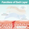 Hydrocolloid Roll for Wound Care - Flexible and Waterproof Bandages