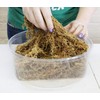 besgrow Premium New Zealand Sphagnum Moss, 150g (12L When Hydrated)