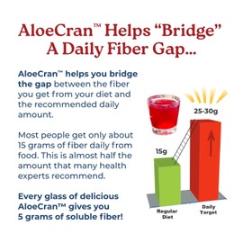 NatureCity AloeCran Sugar Free Drink Mix Supplement | Pure Aloe Vera, Cranberry Powder & Dietary Fiber| Unsweetened Cranberry Concentrate | Supports Digestive, Urinary & Metabolic Health | 60 Servings