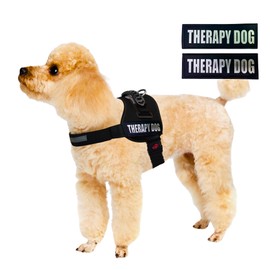 Albcorp Reflective Therapy Dog Vest Harness, Woven Nylon, Adjustable Service Animal Jacket, with 2 Hook and Loop Therapy Dog Removable Patches. Black, XXS