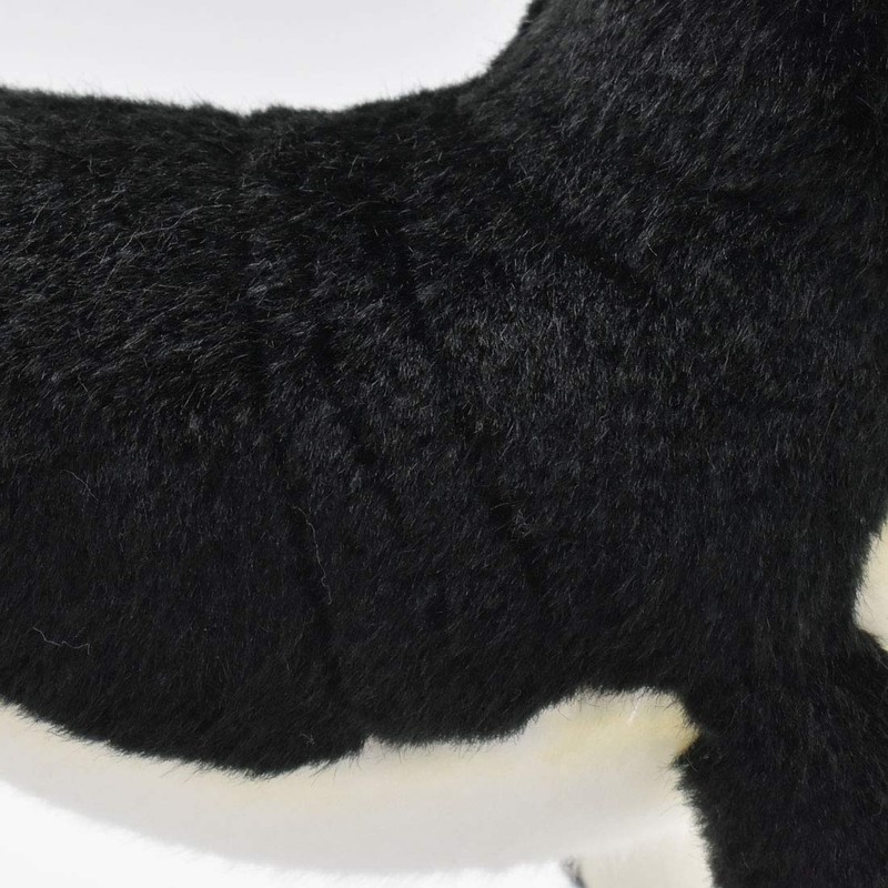 BH6367 HANSA チワワ27