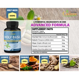 Organic Cadane Holy Basil Supplements Capsules with Guduchi, Ginger, Turmeric Curcumin, Licorice - Support Immune, Energy Production - 90 Capsules for 3 Months