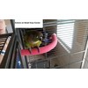 Polly's Cozy Corner Bird Perch, Small