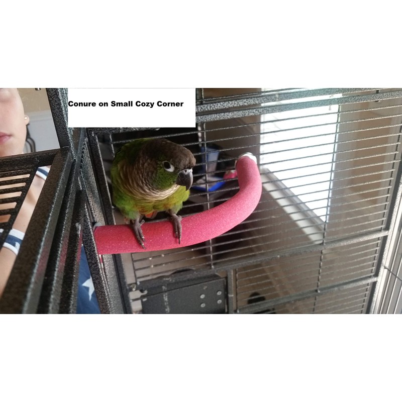 Polly's Cozy Corner Bird Perch, Small