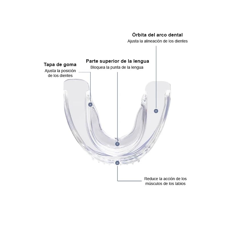 Retenedor De Dientes Para Corrección De Sonrisa. Dispositivo de Ortodoncia