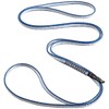 BlackDiamond BD14056 0.4 inch (10 mm) Dyex Runner, Blue, 47.2
