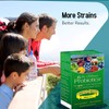 Dr. Ohhira's Probiotics, Daily, Original Formula, 100 Caps with Bonus