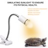 75W Reptile Heat Lamp Tortoise Heat Lamp Basking Lamp Heater