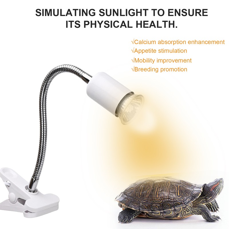 75W Reptile Heat Lamp Tortoise Heat Lamp Basking Lamp Heater