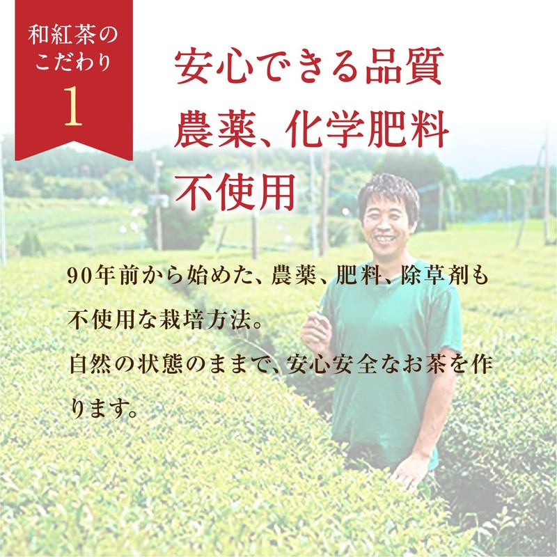 Tenno Tea Garden Tea TB Tea Bag (0.08 oz (2