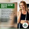 Digestive Enzyme Supplements - 120 Tablets for Optimal Gut Health