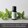 Ellia Peppermint Essential Oil, 15 mL Bottle, Clear, 0.5 Fl