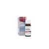 In Essence Therapeutic Pure Natural Australian Native Lavender Tasmanian Aroma