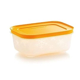 Tupperware freezer storage 2 x 450ml / 1.9 cup